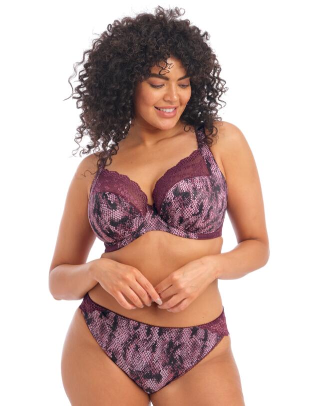 Elomi Lucie Plunge Bra Mambo 