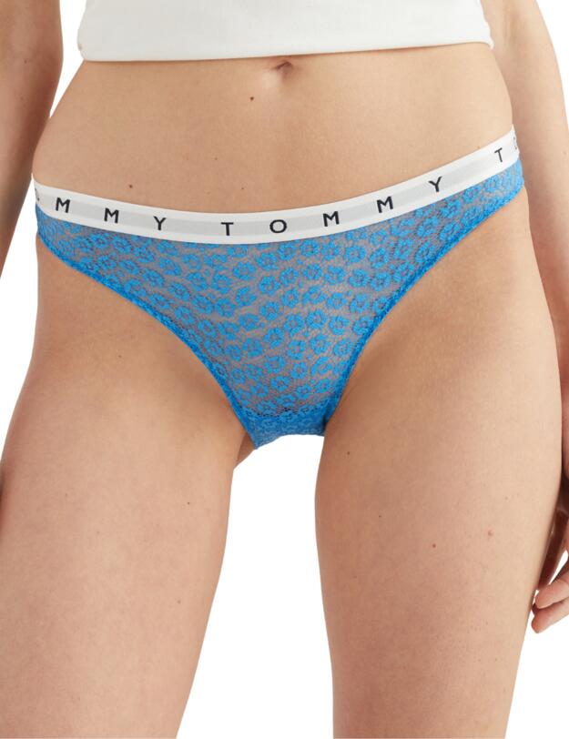 Tommy Hilfiger Bikini Brief 3 Pack Deep Crimson/Twilight/Sky Blue