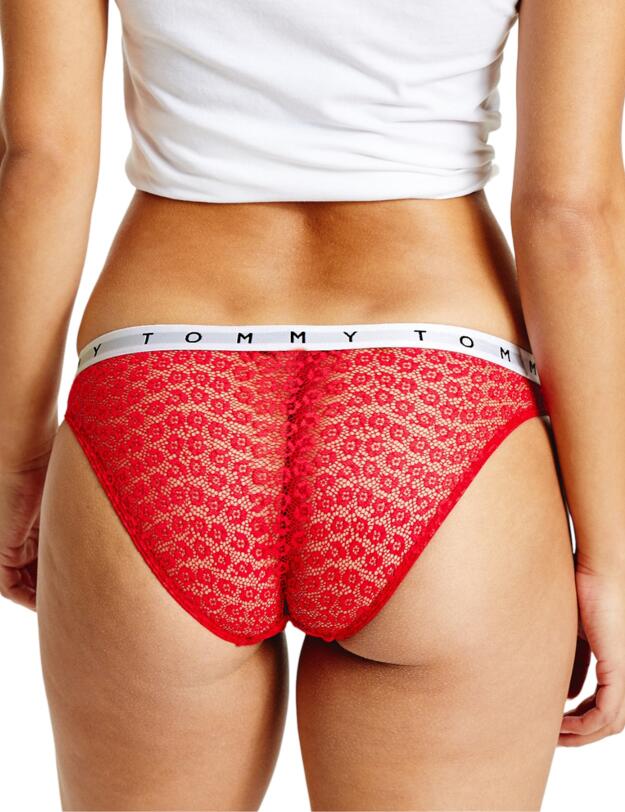 Tommy Hilfiger Bikini Brief 3 Pack Deep Crimson/Twilight/Sky Blue