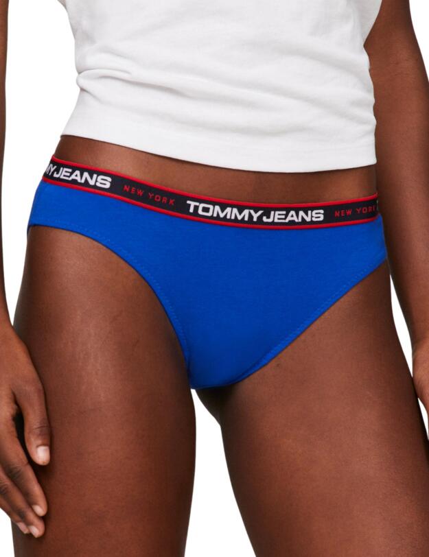 Tommy Hilfiger 3 Pack Briefs Gypsy Rose/Desert Rose/Ultra Blue