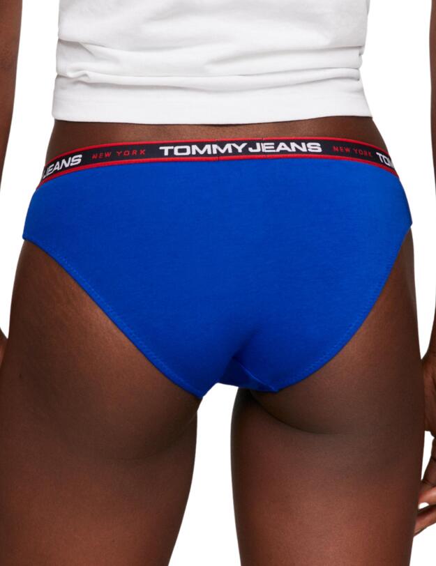 Tommy Hilfiger 3 Pack Briefs Gypsy Rose/Desert Rose/Ultra Blue