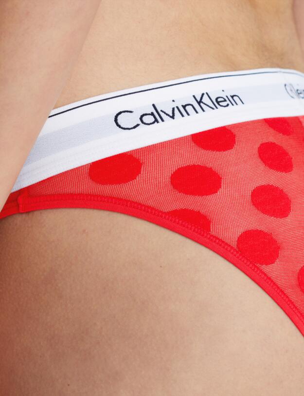 Calvin Klein Modern Cotton Briefs Rouge 