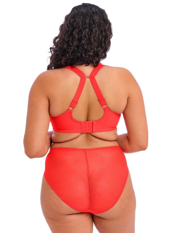 Elomi Charley Underwired Plunge Bra Salsa