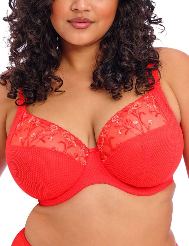 Elomi Charley Underwired Plunge Bra Salsa