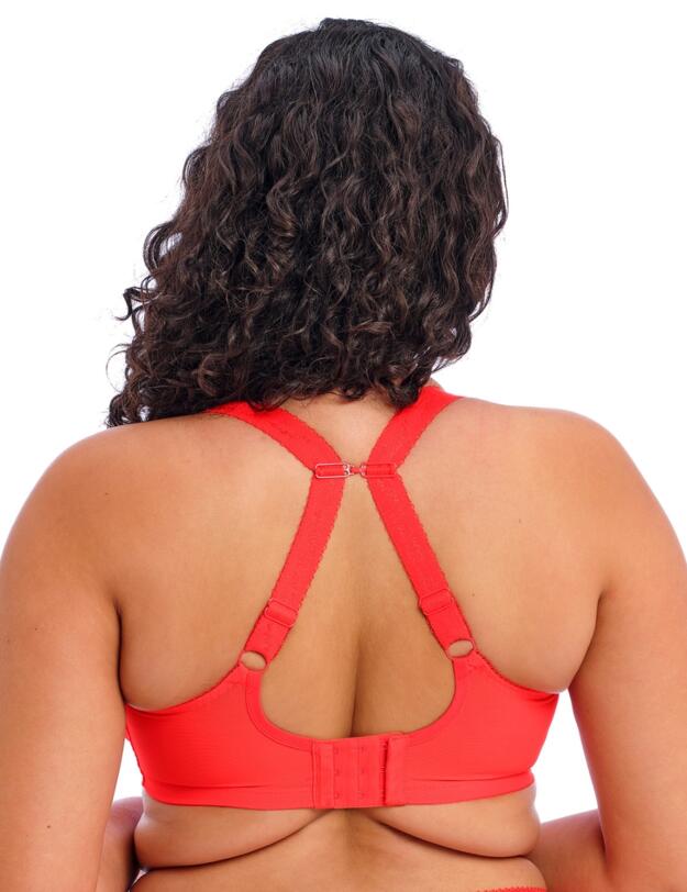 Elomi Charley Underwired Plunge Bra Salsa