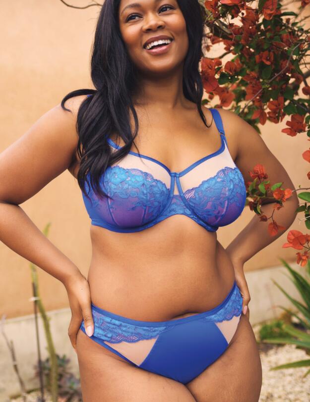 Sculptresse by Panache Josephine High Leg Brief Cobalt/Latte