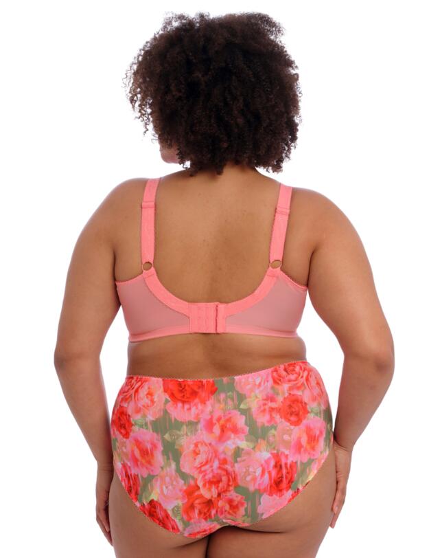 Goddess Kayla High-Waisted Brief Rose Garden