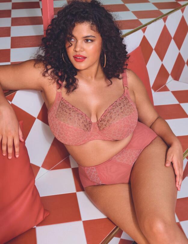 Elomi Matilda Full Brief Rose Leo