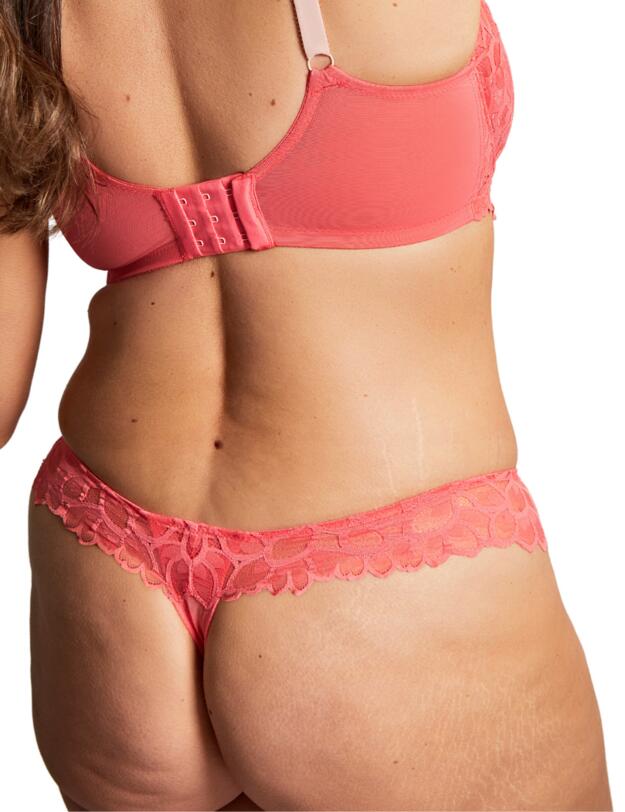 Panache Allure Thong Coral 