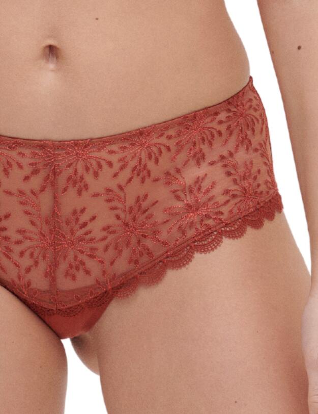 Simone Perele Singuliere Shorty Brief Sienna