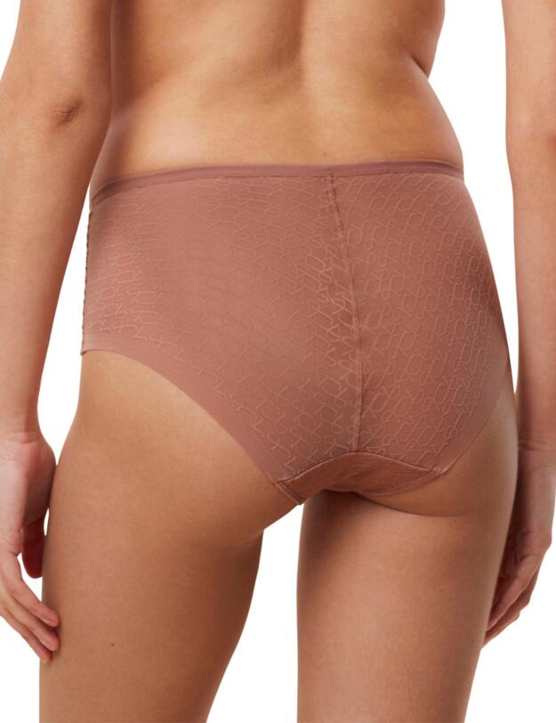 Triumph Signature Sheer Maxi Brief Toasted Almond
