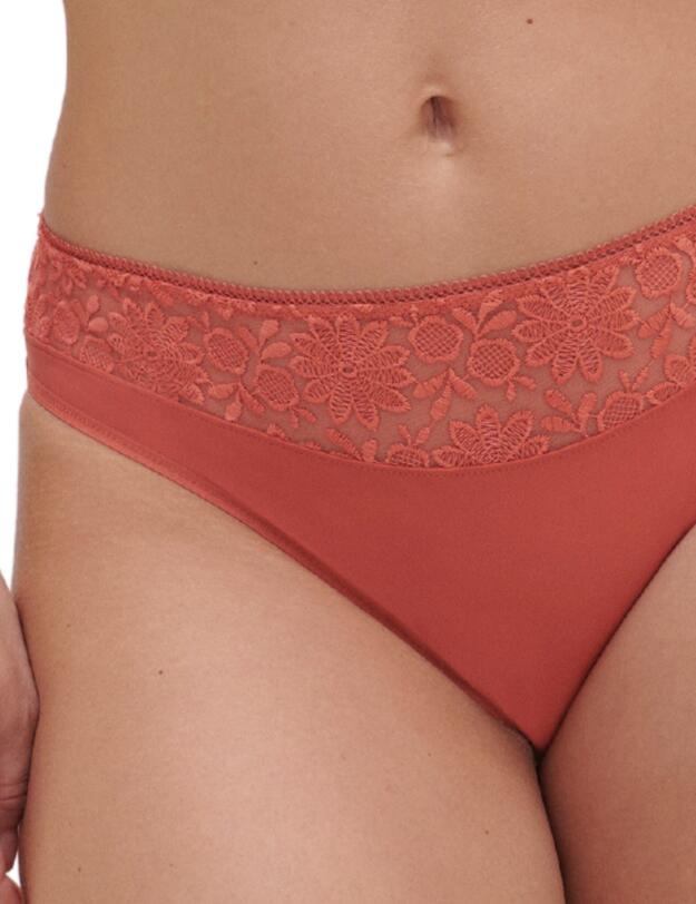 Simone Perele Amazone Brief Texas Pink