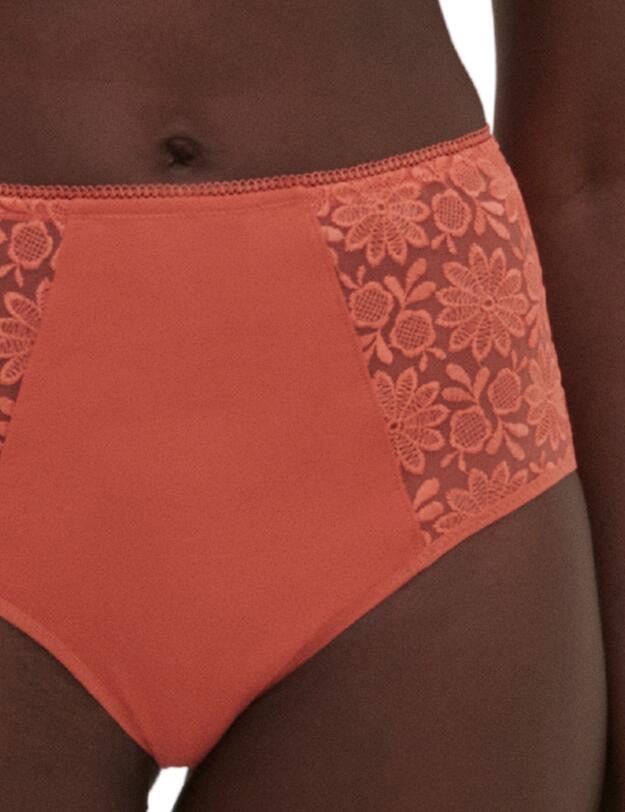 Simone Perele Amazone Deep Brief Texas Pink