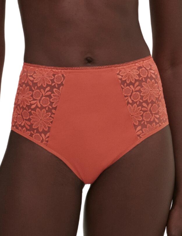 Simone Perele Amazone Deep Brief Texas Pink