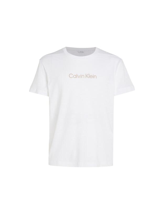 Calvin Klein Mens Crew Neck Logo Tee PVH Classic White