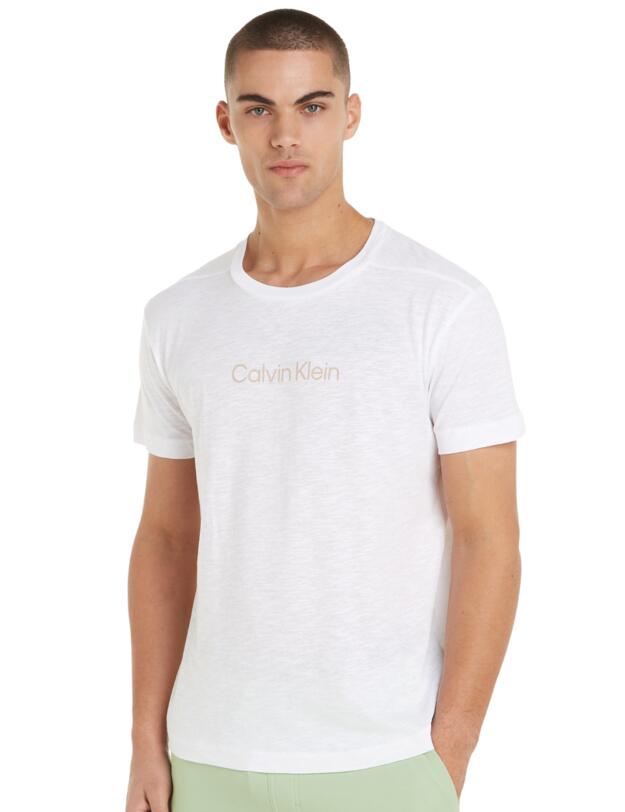 Calvin Klein Mens Crew Neck Logo Tee PVH Classic White