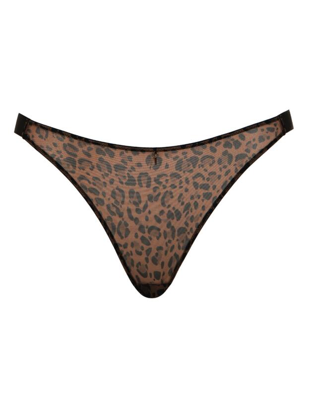 Curvy Kate Cool Cat Tanga Leopard Brown