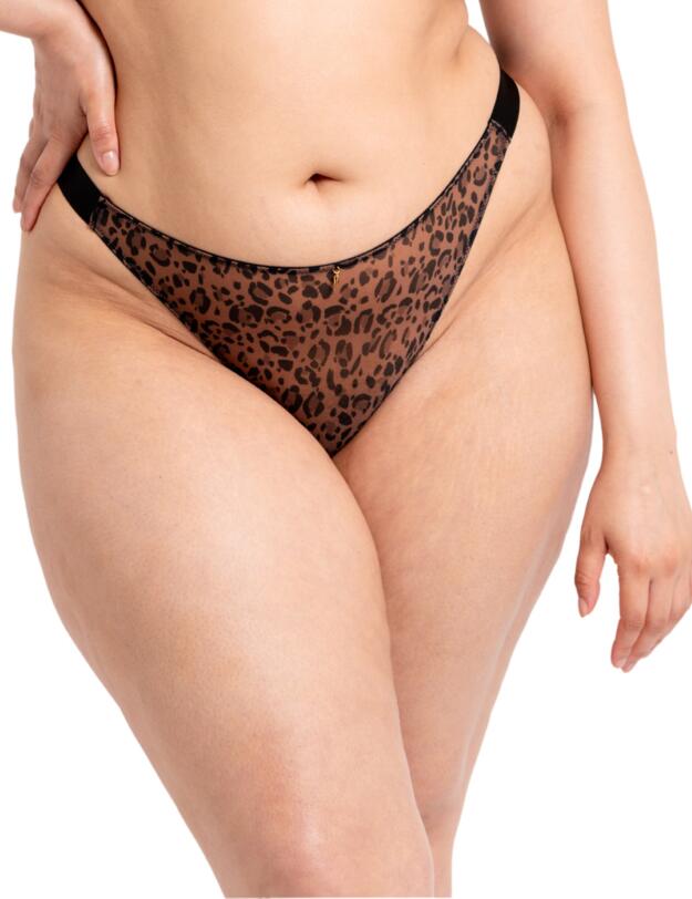 Curvy Kate Cool Cat Tanga Leopard Brown