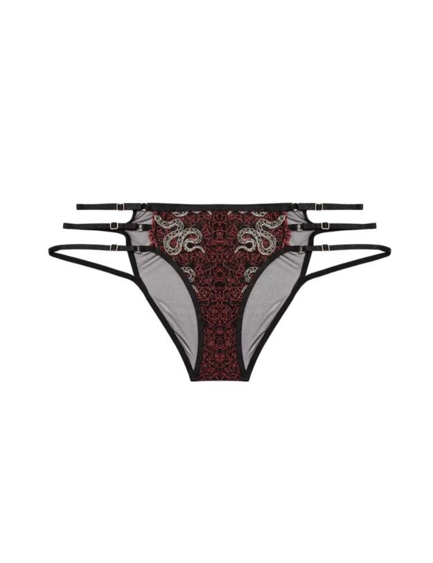 Playful Promises Dakota Brief Red