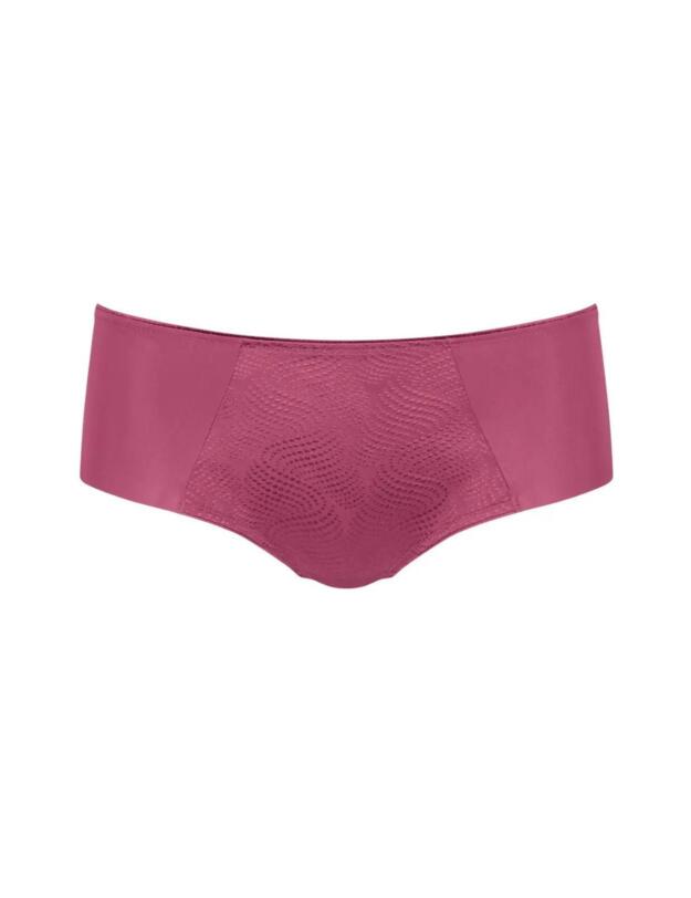 Triumph Essential Minimiser Hipster Briefs Malaga 