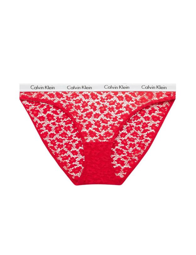 Calvin Klein Carousel Lace Brief Exact