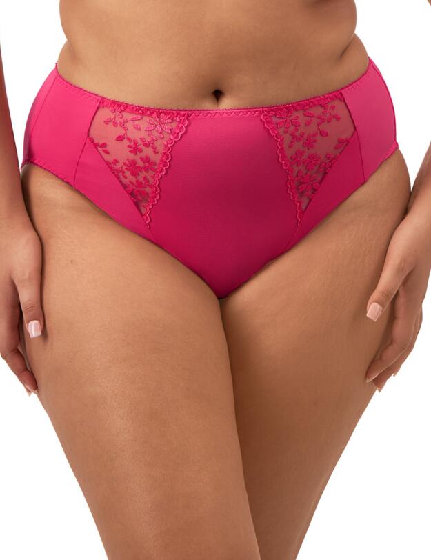 Elomi Zarla High Leg Brief Love Potion
