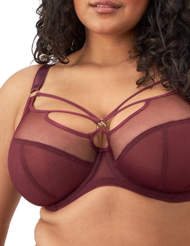 Elomi Sachi Plunge Bra Cabernet