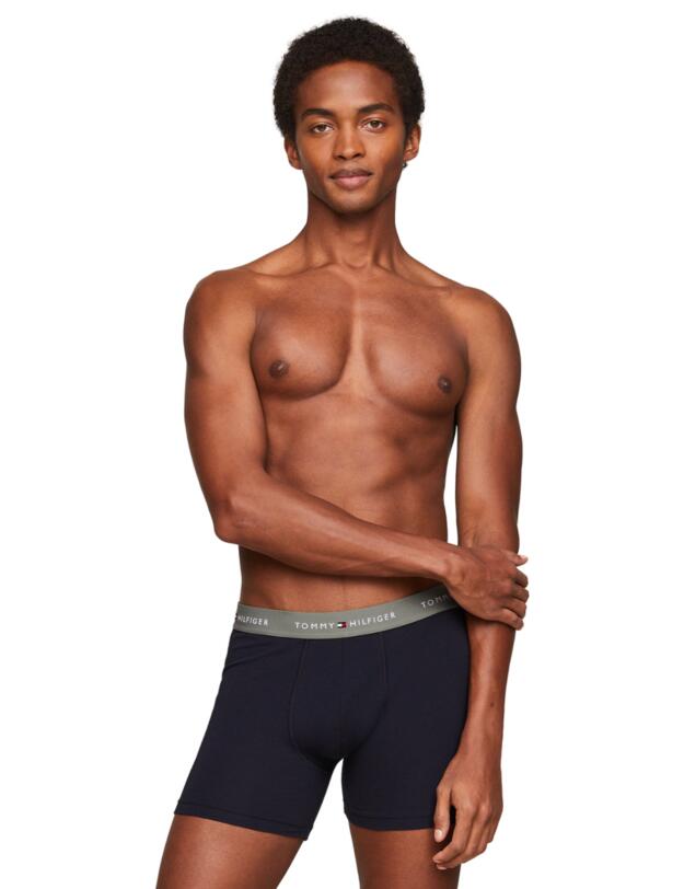 Tommy Hilfiger 3 Pack Boxer Briefs Summer Sun / Pearly Pink / Stonewash