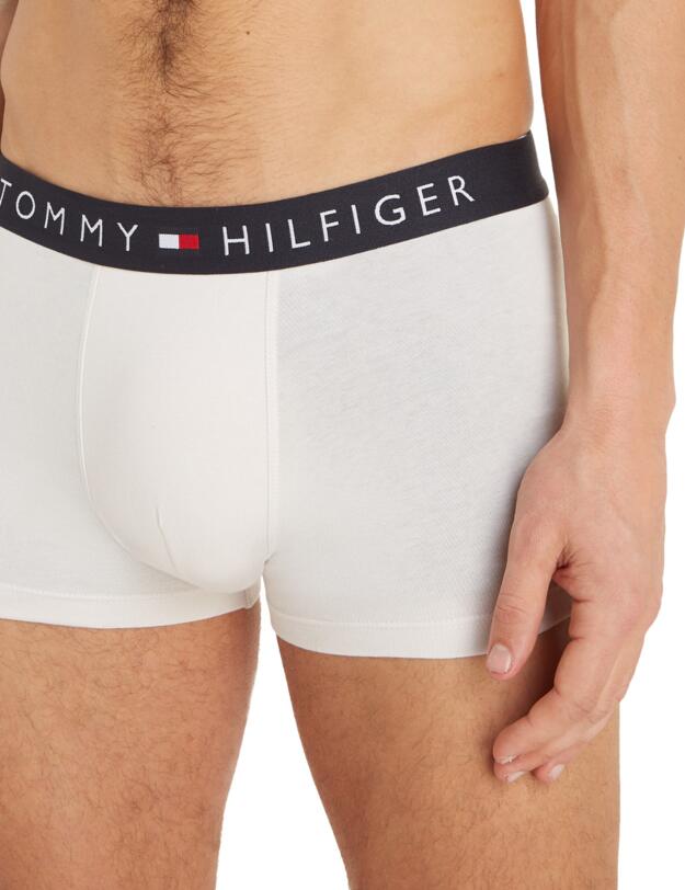 Tommy Hilfiger Trunks 3 Pack Faded Olive / Desert Sky / Misty Coast