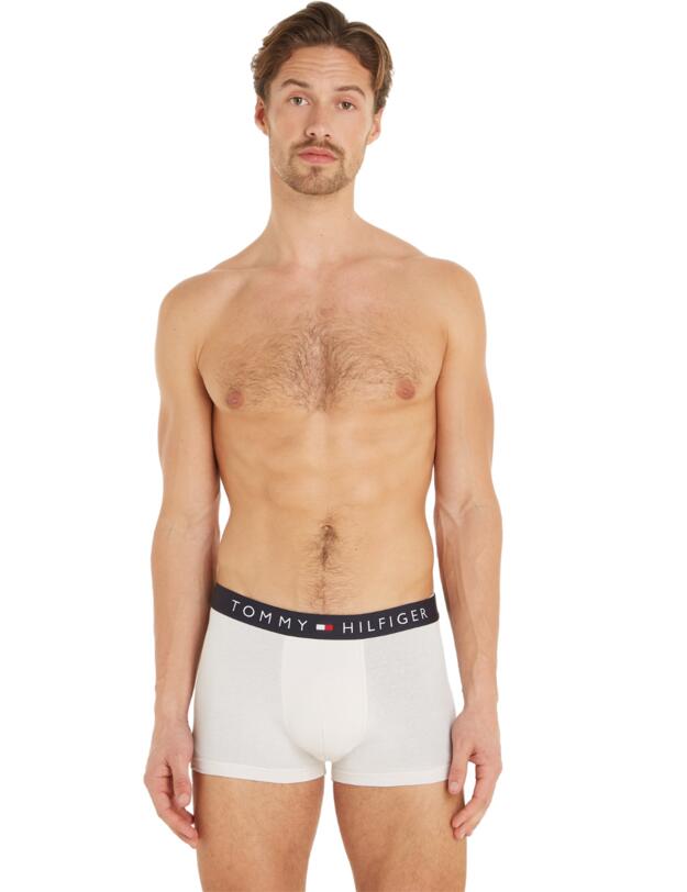 Tommy Hilfiger Trunks 3 Pack Faded Olive / Desert Sky / Misty Coast