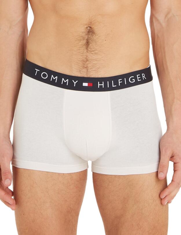 Tommy Hilfiger Trunks 3 Pack Faded Olive / Desert Sky / Misty Coast