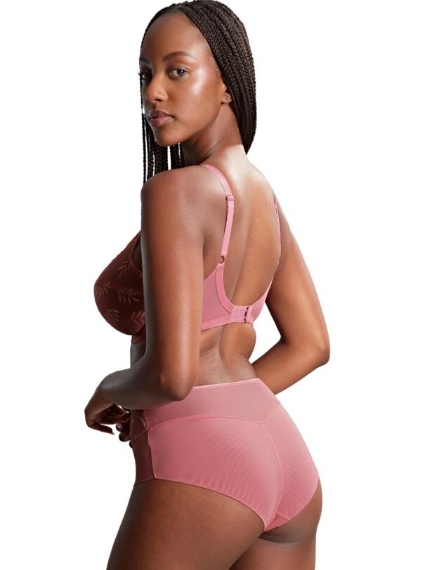 Panache Tango Deep Brief Soft Pink