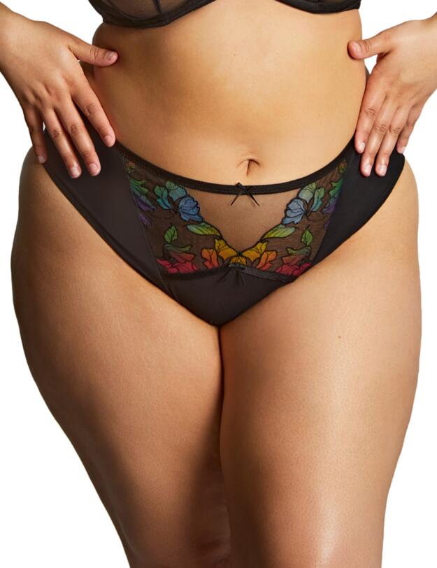 Sculptresse by Panache Eden High Leg Brief  Black