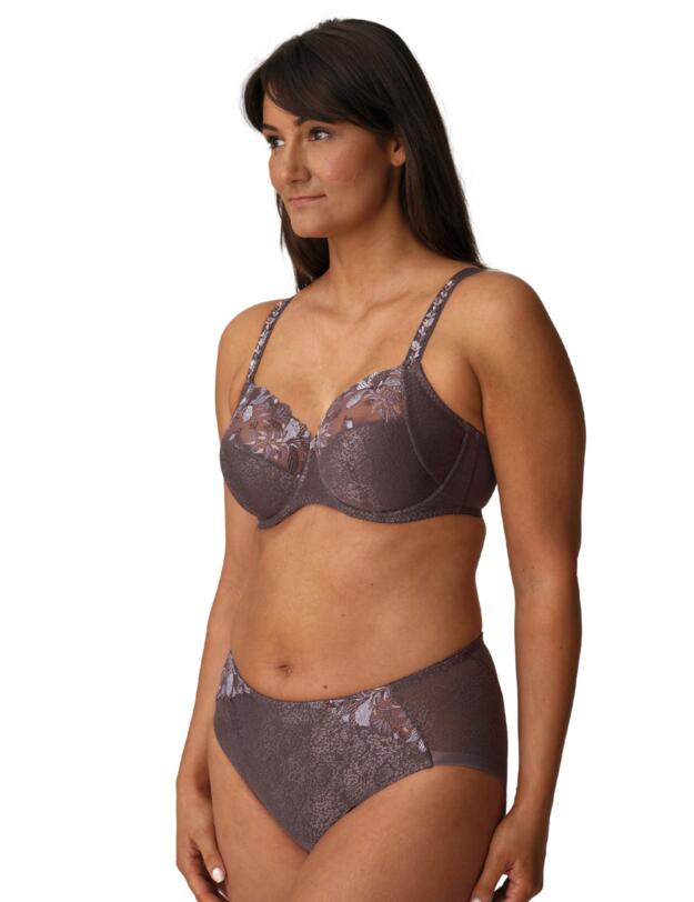 Prima Donna Mohala Full Brief Eye Shadow 