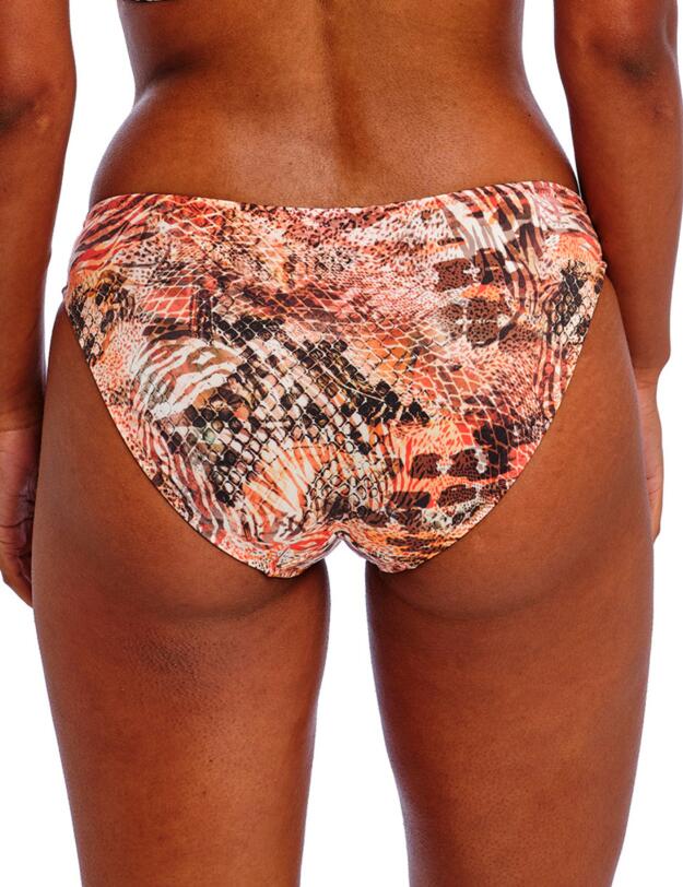 205970 Freya Desert Cat Bikini Brief - 205970 Sunset