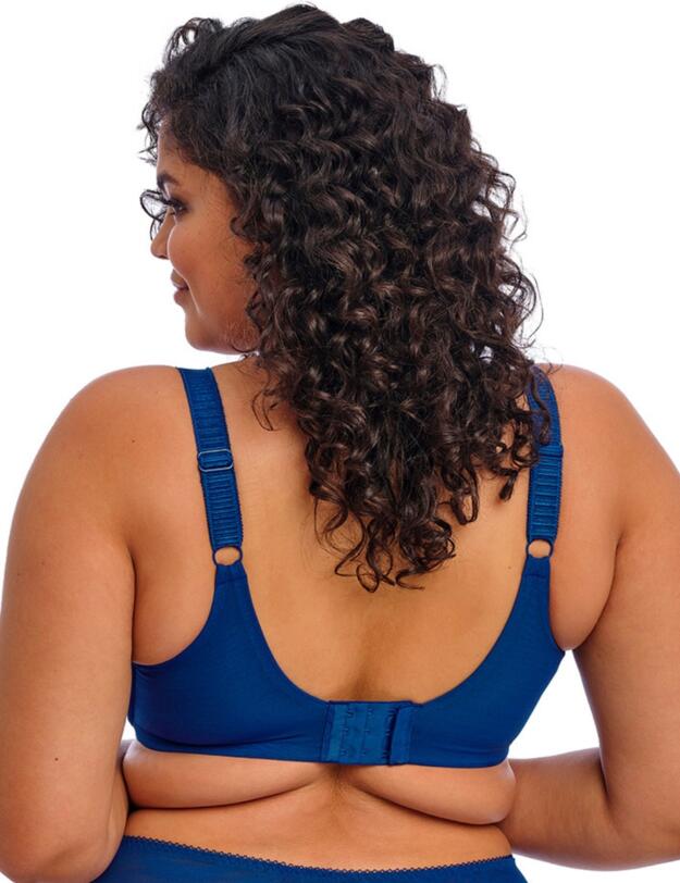 Elomi Cate Allure Underwired Bra Lapis