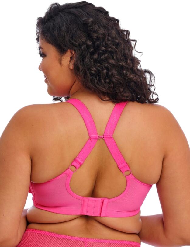 Elomi Charley Plunge Bra Pink