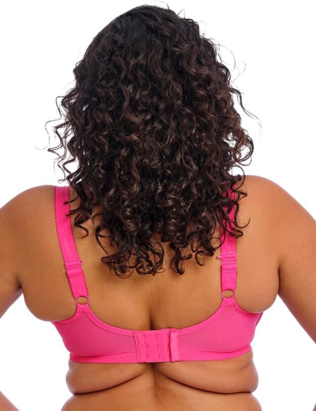 Elomi Charley Plunge Bra Pink