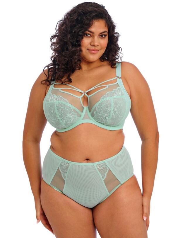 Elomi Brianna Full Brief Frozen