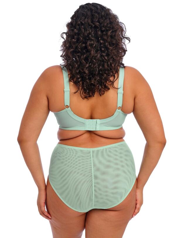 Elomi Brianna Full Brief Frozen