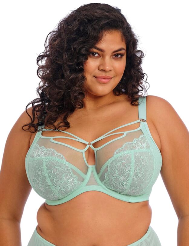 Elomi Brianna Plunge Bra Frozen