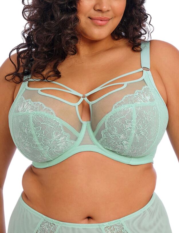Elomi Brianna Plunge Bra Frozen