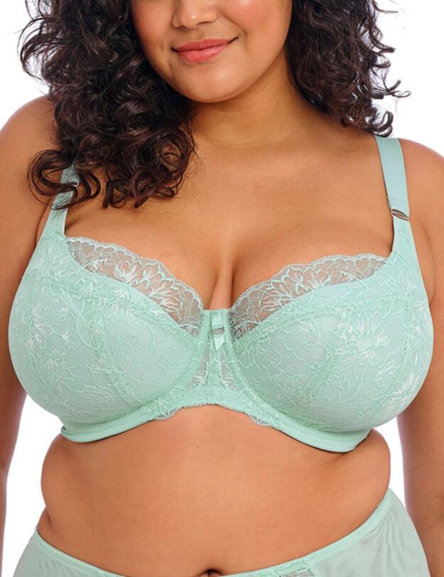 Elomi Brianna Padded Half Cup Bra Frozen