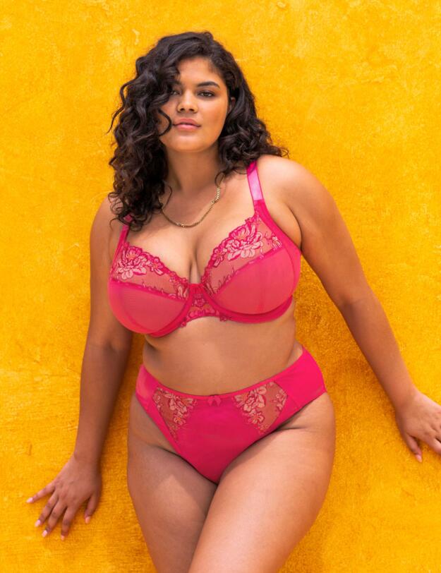 Elomi Teagan High Leg Brief Azalea