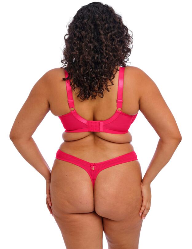 Elomi Teagan Thong Azalea