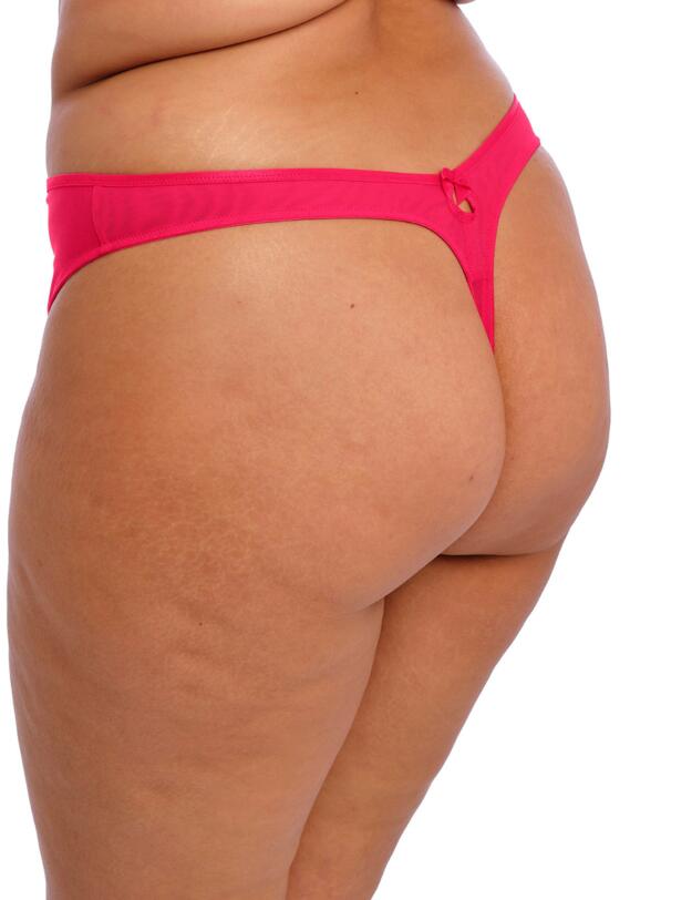 Elomi Teagan Thong Azalea