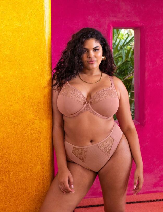 Elomi Teagan High Leg Brief Ash Rose