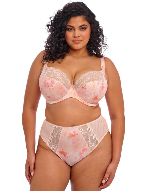 Elomi Lucie High Leg Brief Cosmos