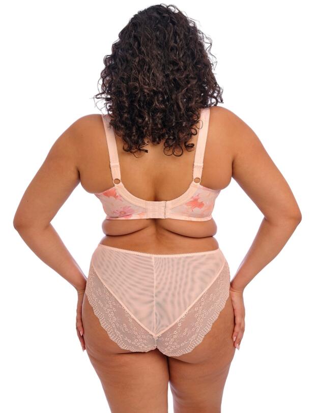 Elomi Lucie High Leg Brief Cosmos