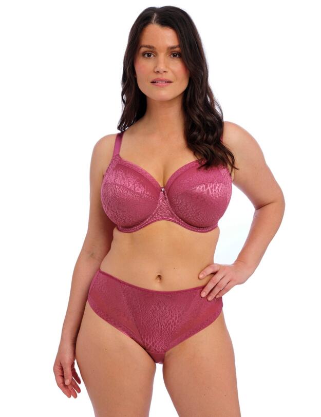 Fantasie Envisage Brief Passion